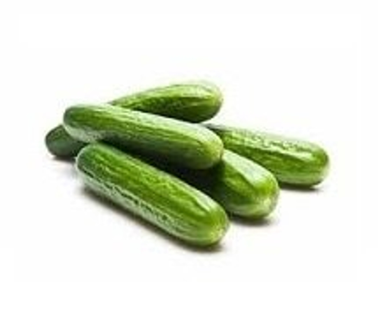 Cucumber